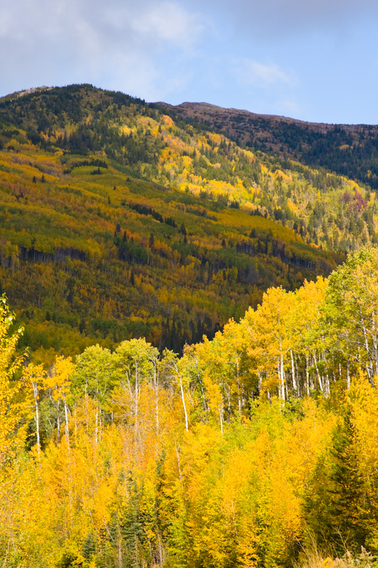 Fall Color On Forest Covered Ridges